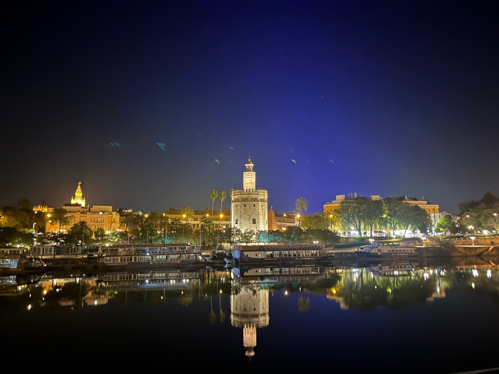 Professional Conference in&nbsp;Sevilla